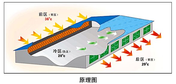 濕簾降溫系統(tǒng)